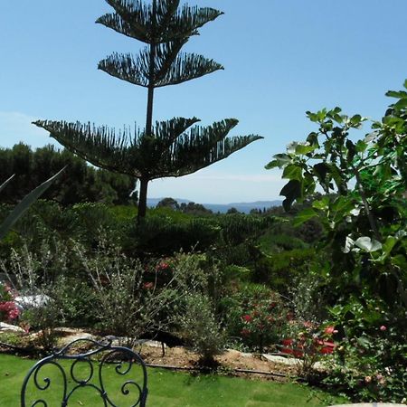 Villa Carpe Diem Le Lavandou Ngoại thất bức ảnh