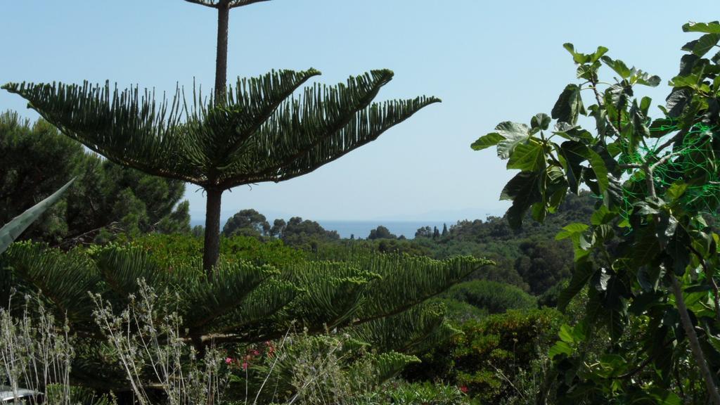 Villa Carpe Diem Le Lavandou Phòng bức ảnh