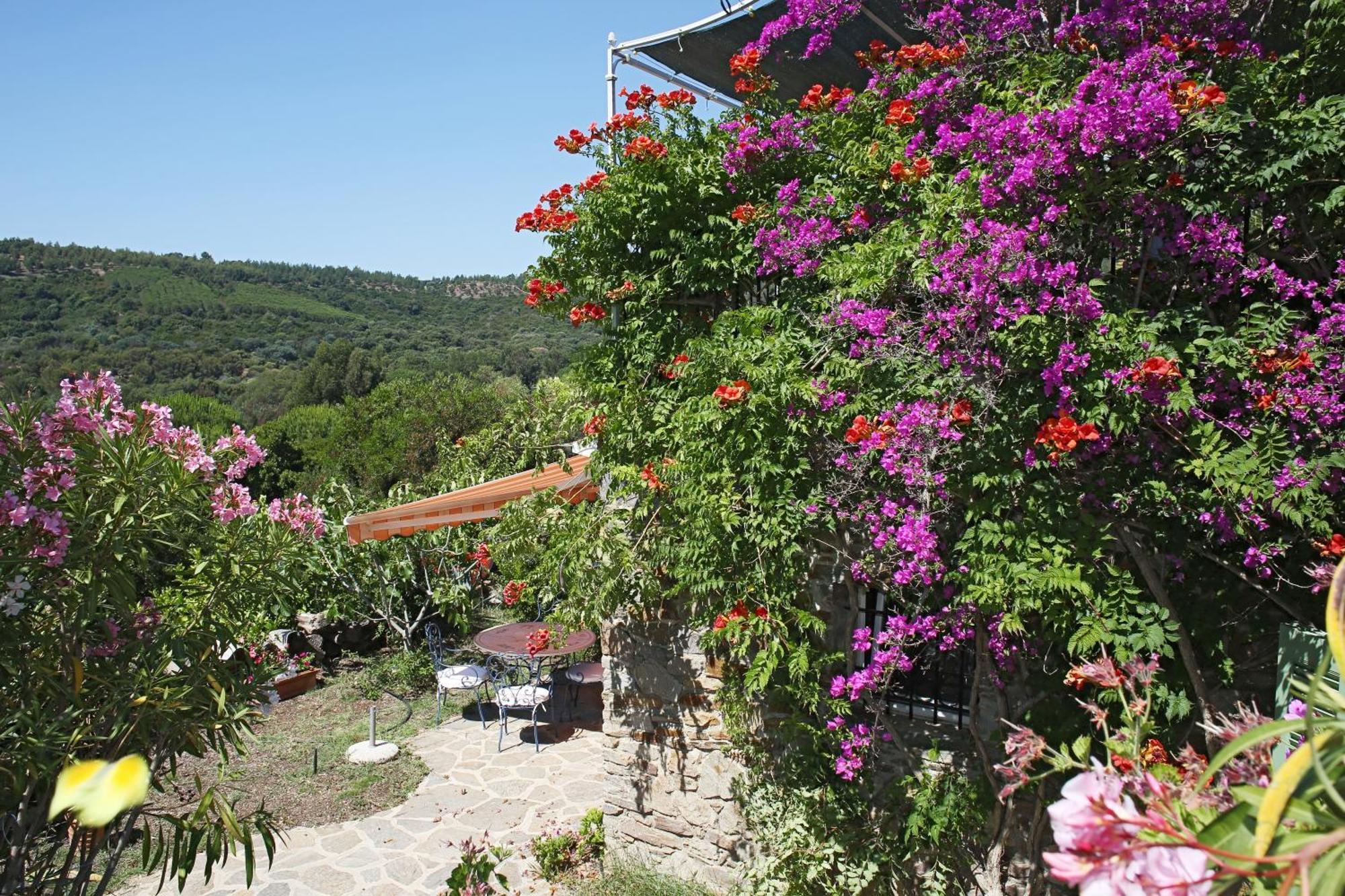 Villa Carpe Diem Le Lavandou Ngoại thất bức ảnh