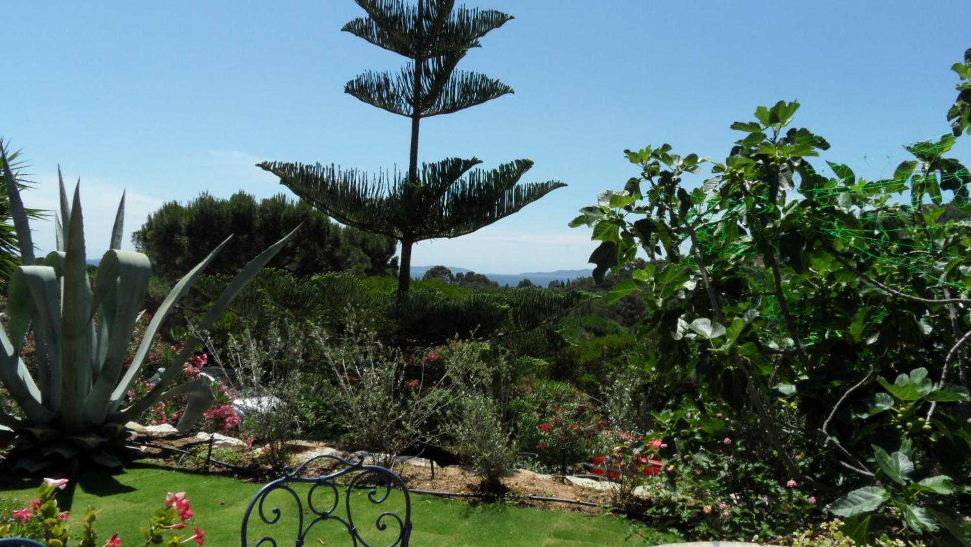 Villa Carpe Diem Le Lavandou Ngoại thất bức ảnh
